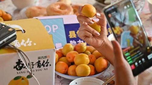 新疆网红事件吃瓜视频,吃瓜群众围观网络风云